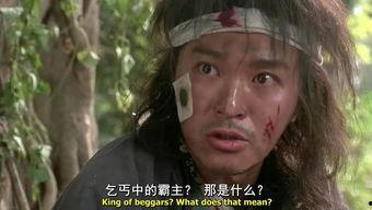 苏乞儿,传奇武师与江湖传奇